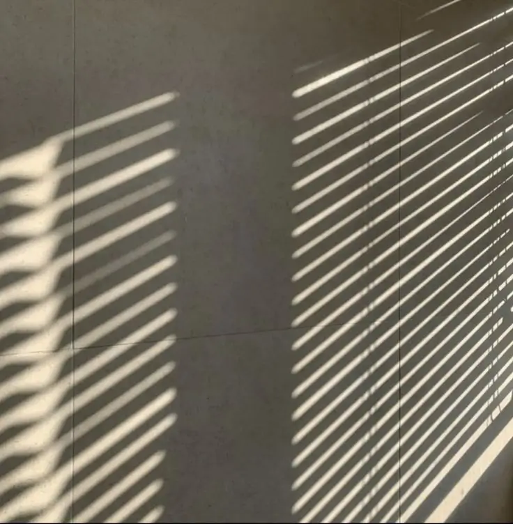 Atmospheric detail of light and shadow on a textured wall.